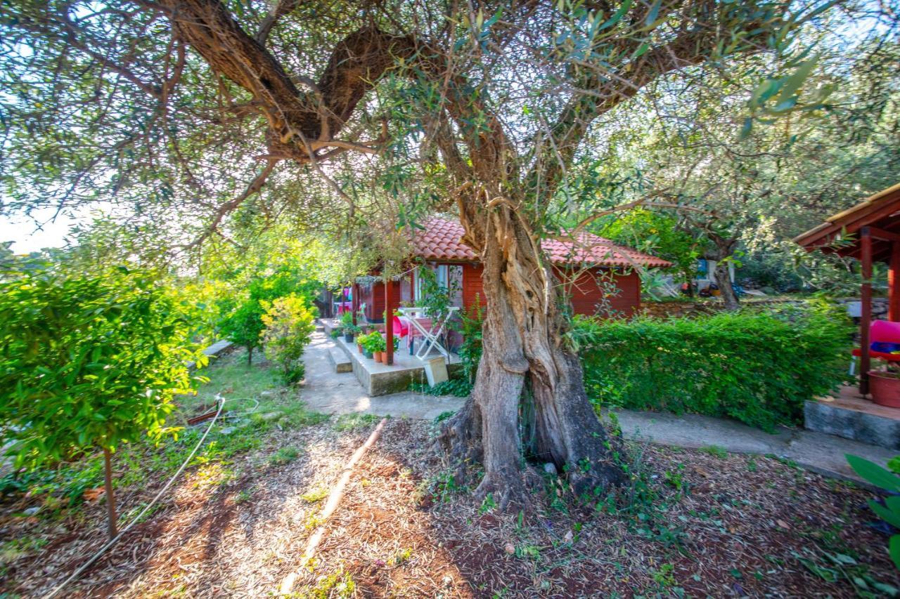 Lodges Shen Nikolla Dhërmi Buitenkant foto